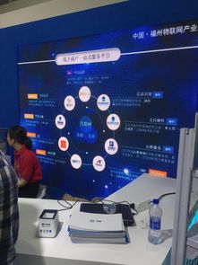 聚合支付技術亮相首屆數字中國建設峰會，四九八網絡科技引領網絡服務創新